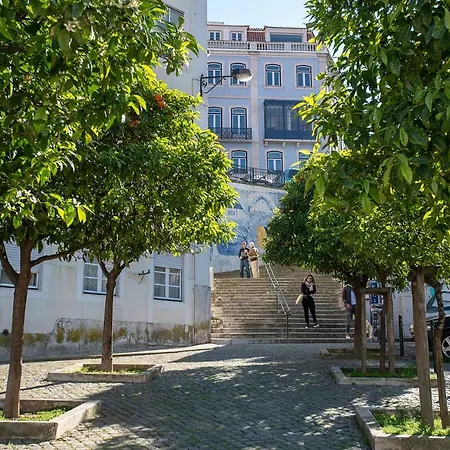 Daire Myplace - - Principe Real Lisboa